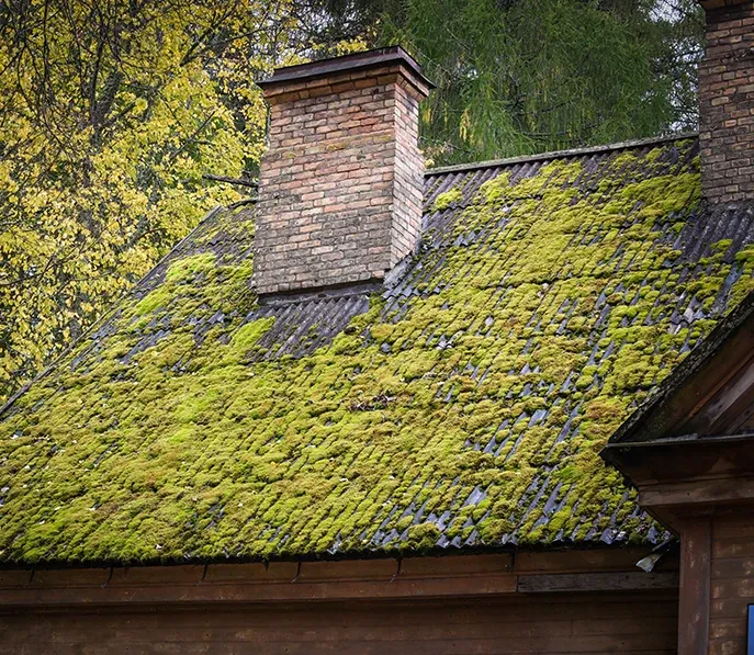 Moss being cleaned away from roof tiles