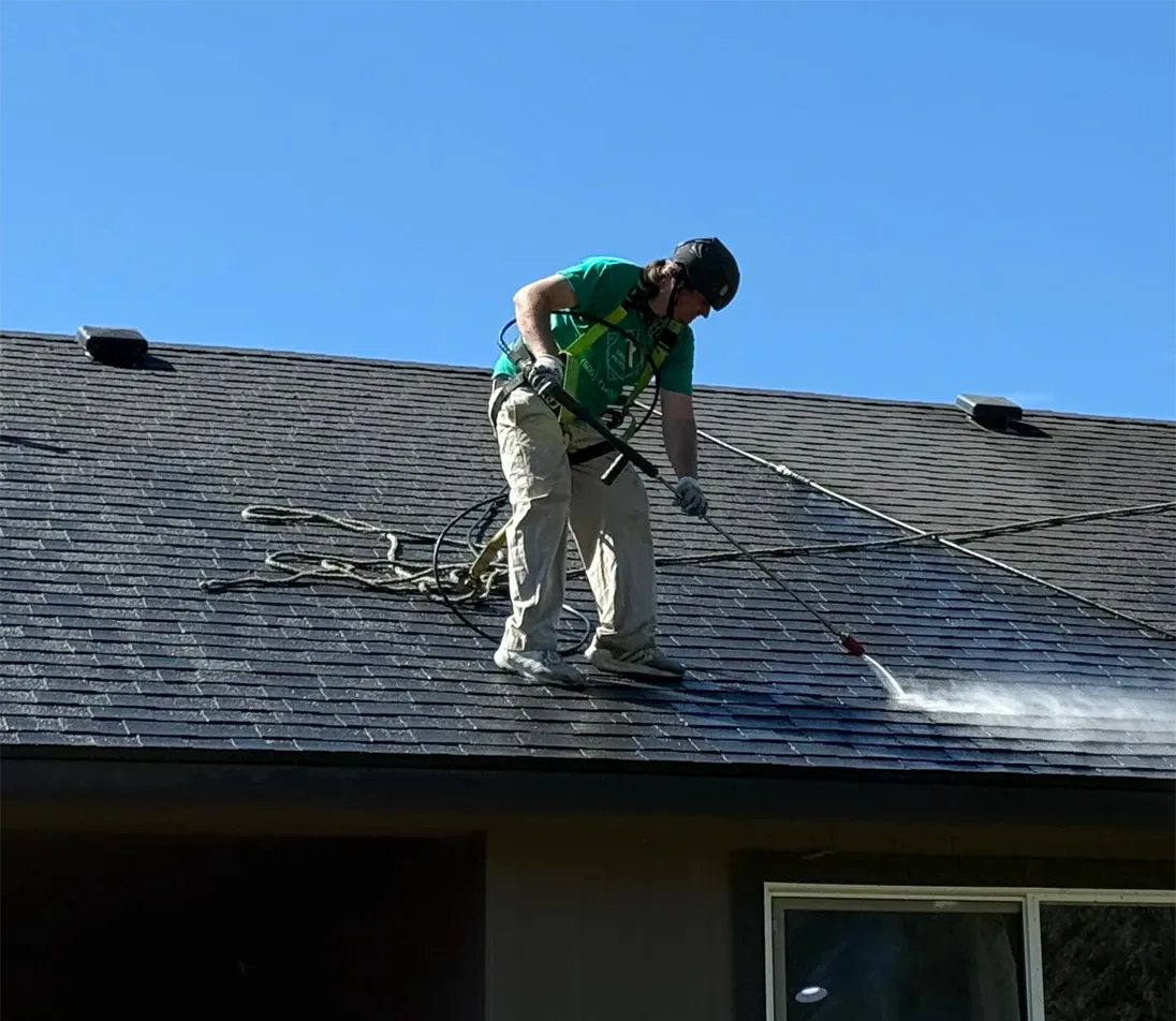 Clean roof after professional soft-wash treatment