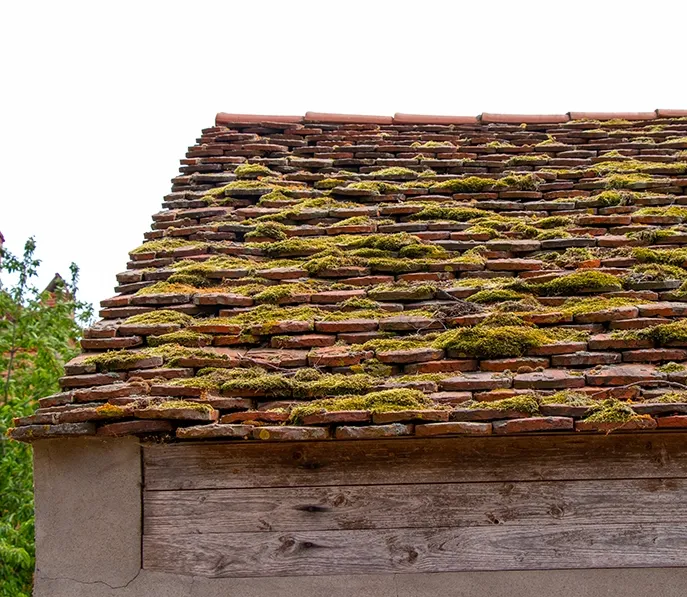 Increases Roof Lifespan